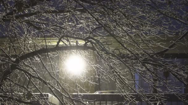 Winter nacht sneeuw valt in het kleine stadje door besneeuwde nacht — Stockvideo