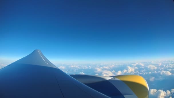 Avión comercial volando en las nubes — Vídeos de Stock