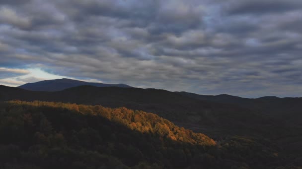飞行在秋天山与森林、草甸和小山在日落柔和的光。喀尔巴泰山脉, 乌克兰, 欧洲。空中无人机视频视图: — 图库视频影像