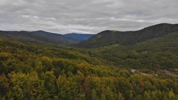 Herfst kleur forrest uitzicht over kleurrijke herfst bomen, bergen, op een zonnige dag vallen — Stockvideo