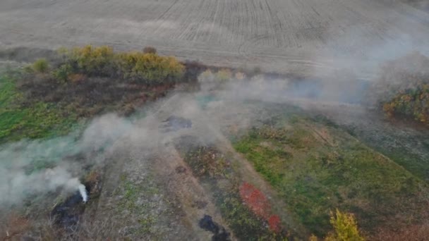 Luchtfoto van dorp op het platteland landbouw gebied van velden tijdens de avond zonsondergang oogstseizoen — Stockvideo