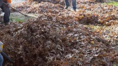 Çalışma ile yaprak üfleyici yaprakları yukarı ve aşağı güneşli günde davranıyorsun dostum