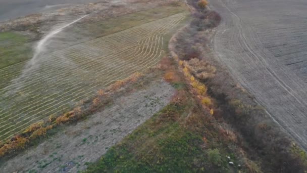 Paysage paysage du coucher du soleil dans le champ avant au coucher du soleil au début de l'automne 
