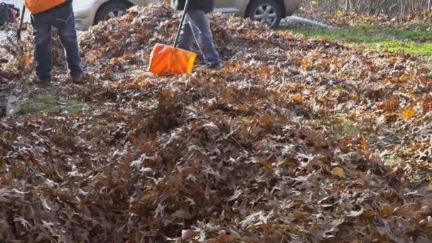 Hojas Otoño Pavimento Escoba Hojas Otoño Con Rastrillo — Vídeo de stock