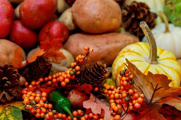 День Благодарения Концепция Питания Фон Осенними Овощами Фруктами Осенние Овощи — стоковое фото