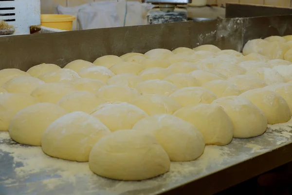 Bread dough in balls on metal trays rising waiting to cooked