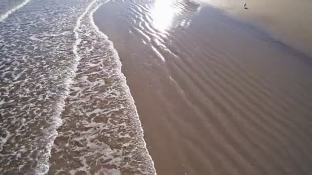 A beautiful blue ocean with small waves and shell sandy beach. — Stock Video