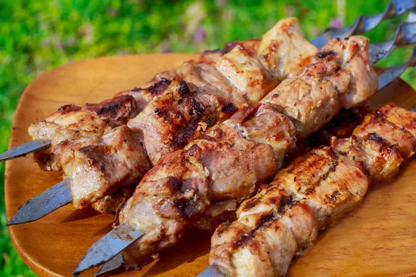 Szaszłyk Mieszanką Przypraw Grill Gotowanie Mięsa — Zdjęcie stockowe