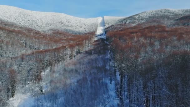 AÉRIAL, volant au-dessus de la forêt de montagne enneigée d'hiver couverte de neige dans la nature sauvage . — Video
