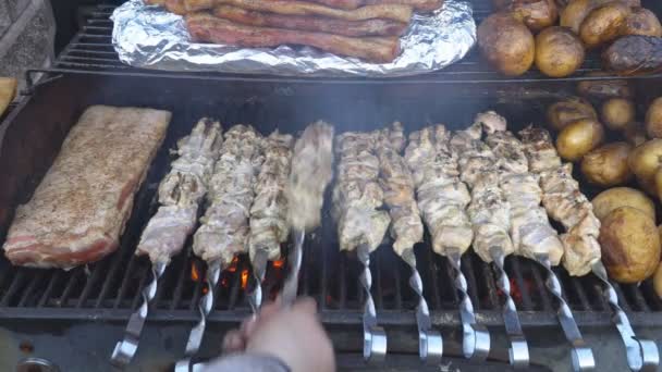 Comida na comida do festival, espetos de carne grelhados batatas fritas, kebab shish — Vídeo de Stock