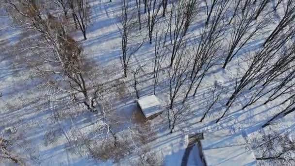 Flygfoto över vintern skog under frostig dag. — Stockvideo
