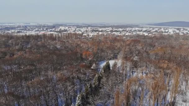 Vue d'en haut sur une forêt d'hiver par une journée froide et ensoleillée — Video