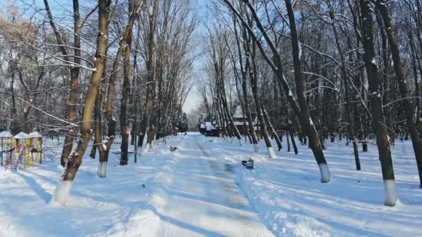 Estrada nevada na paisagem da natureza da floresta no dia frio na floresta de inverno . — Vídeo de Stock