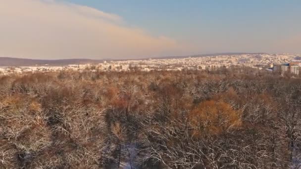 Vista aérea del bosque de invierno durante el día helado . — Vídeos de Stock