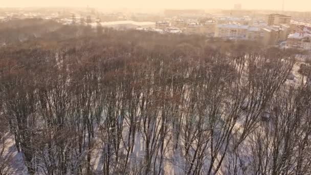 Soğuk ve güneşli bir günde yukarıdan bir kış ormanı manzarası — Stok video