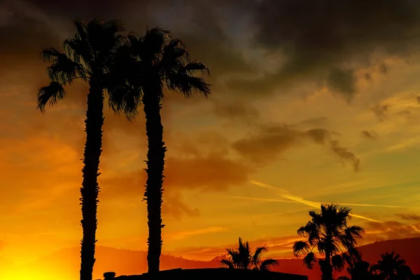 Dağlar gökyüzü turuncu ve sarı renklerde ve siluet uzakta Arizona palmiye ağaçları ile güzel bir gün batımı. — Stok fotoğraf