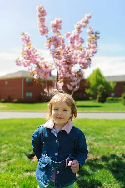 Adorabile bambina i primi fiori di primavera nei boschi in bella giornata di primavera soleggiata. Carino bambino divertirsi all'aperto . — Foto Stock