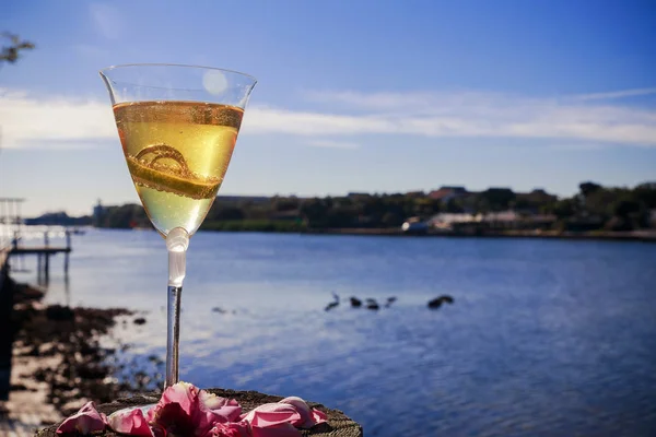 Bröllop gyllene ringar i glas champagne. Symbol för kärlek och äktenskap. med champagne bubblor i solskenet. — Stockfoto