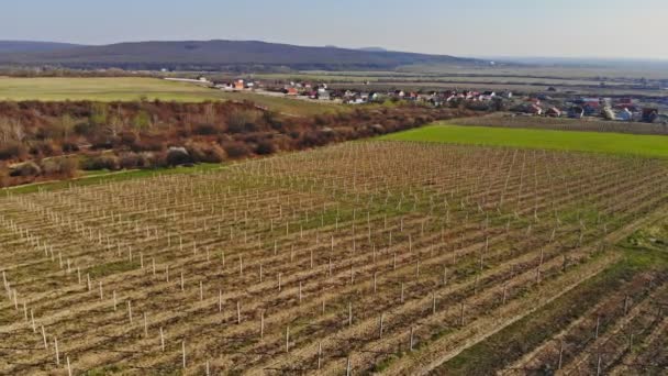 Vrchy pokryté vinicemi ve vinařské oblasti ve vinařské zemi — Stock video