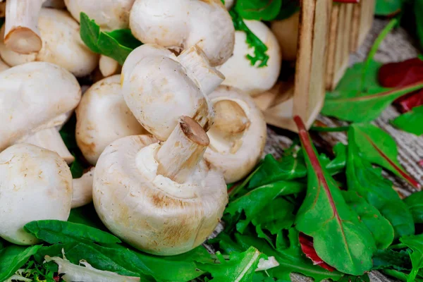 Basket salad with mushrooms, on rusty old background — Stock Photo, Image