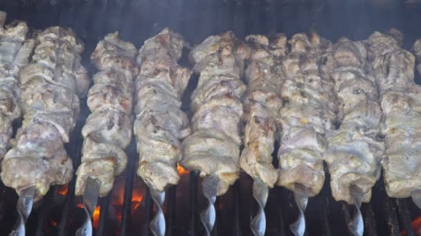 Carne grelhada sobre carvão vegetal, uma culinária saborosa em uma fogueira — Vídeo de Stock