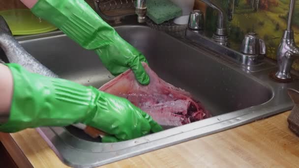 Koken schoonmaken blyufish op de weegschaal — Stockvideo