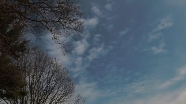 Bewegte Wolken am Horizont in sonnigem, sauberem blauen Himmel weiße Wolkenlandschaft in entspannter, schöner Jahreszeit — Stockvideo