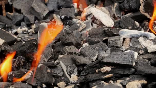 Flaming burning charcoal in the background — Stock Video