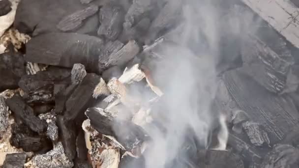 Flaming burning charcoal in the background — Stock Video