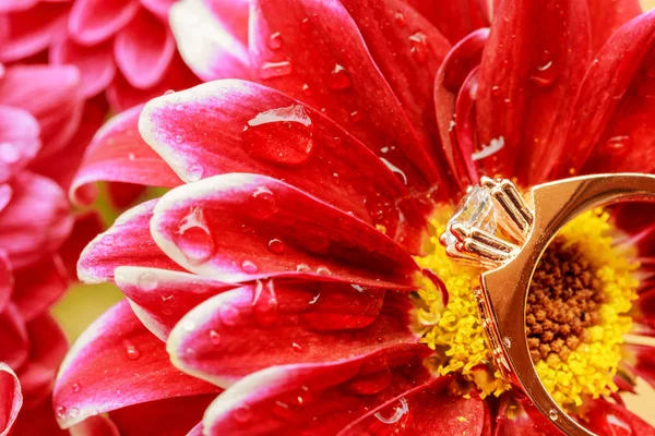 Бриллиантовые кольца обручальные на букете красных цветов — стоковое фото