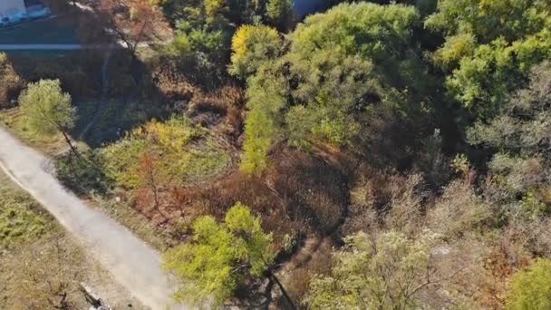 Uzhgorod en Ucrania lago en el paisaje del parque — Vídeo de stock