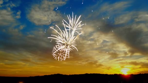 Coloridos fuegos artificiales en el fondo del atardecer del día de la independencia — Vídeo de stock