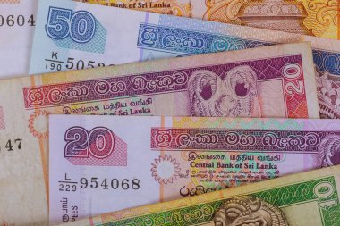 Sri Lanka para birimi rupi finansal yatırım