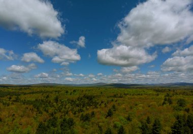 Pocono dağları yaz yeşil çimenler ve mavi gökyüzü manzarası