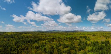 Mountain Pocono Dağları Pennsylvania bahar aylarında Ağaçlar