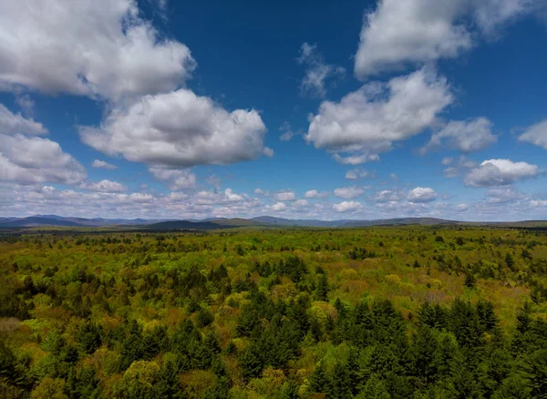 녹색 초원과 숲이있는 포코노 산맥 펜실베니아 풍경 — 스톡 사진