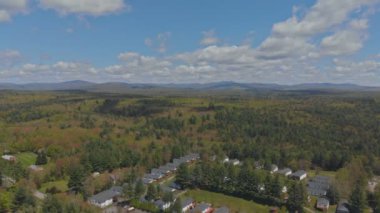 Dağda ilkbaharda ağaçlar