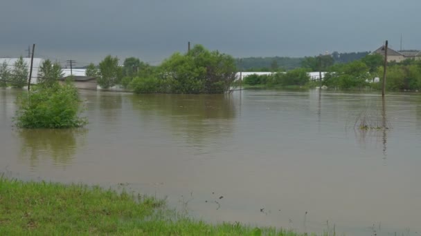 Campo de primavera inundado por água alta de um pequeno rio — Vídeo de Stock