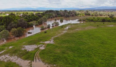 Yüzen doğa ve çevre nehir taşan nehir