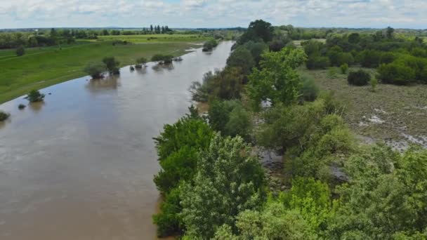 Paisaje: el río desbordado inundó el valle — Vídeos de Stock