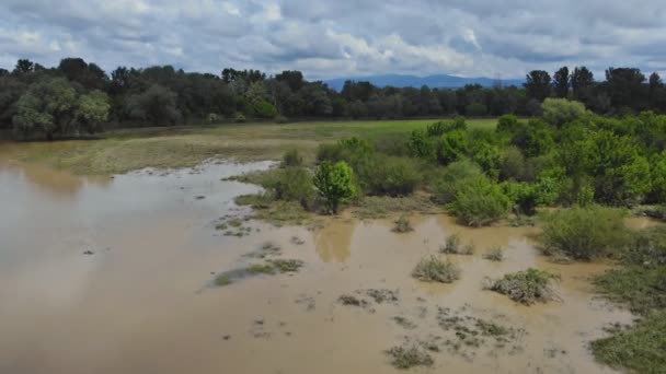 Inondazione primaverile dei campi fluviali inondati d'acqua . — Video Stock
