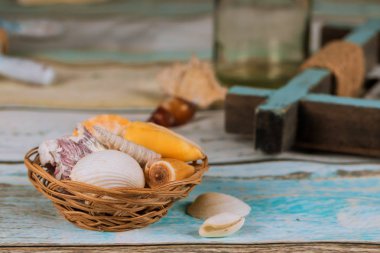 Dinlenme yaz mavi tahta arka plan üzerinde deniz kabukları.