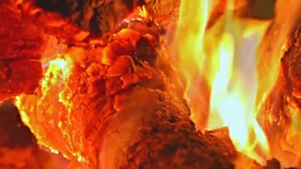 Brand branden in het vuur om warm te houden. — Stockvideo