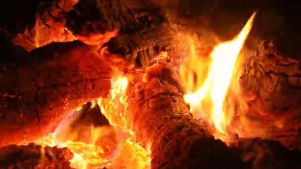 Een brand brandt in een open haard kolen in het vuur — Stockvideo