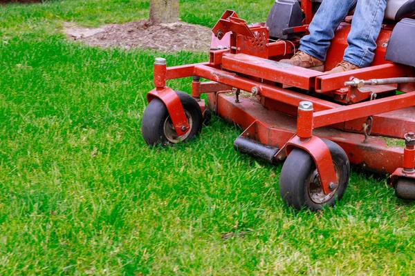 Tondeuse à gazon coupe herbe verte dans la cour arrière — Photo