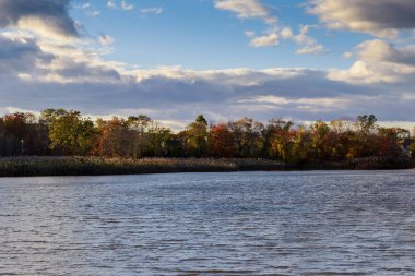 Nehir ve sararmış ağaçlar ile gün batımı pitoresk doğanın Sonbahar renkli su görünümü. Manzara. Yumuşak filtre uygulandı.
