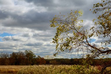 Sonbahar taçları ile bulutlar ile mavi gökyüzü