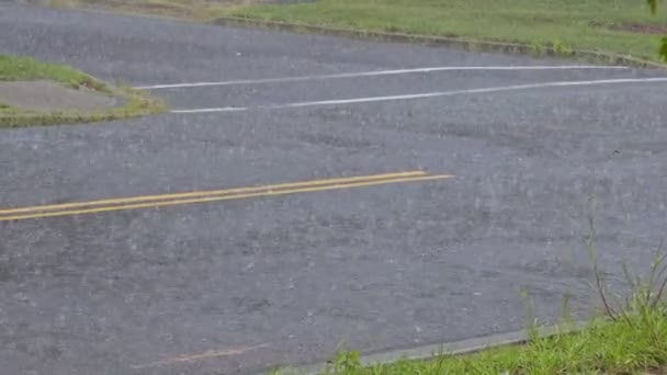 Краплі дощової води падають в калюжу на асфальті, затоплюючи дорожні повені через сильний дощ у вологий сезон — стокове відео