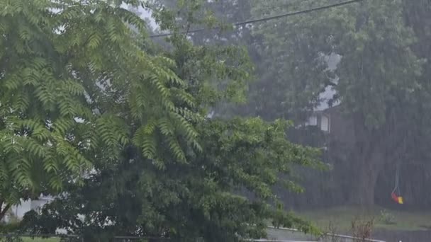 Une pluie estivale très forte formant des ruisseaux d'eau sur la route . — Video