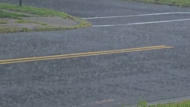 Lluvia fuerte cayendo sobre un camino de asfalto en verano tormenta — Vídeos de Stock
